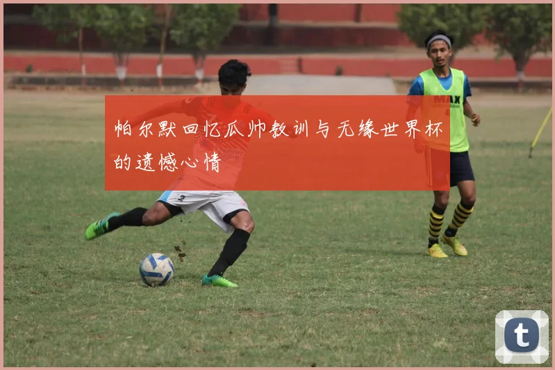 帕尔默回忆瓜帅教训与无缘世界杯的遗憾心情