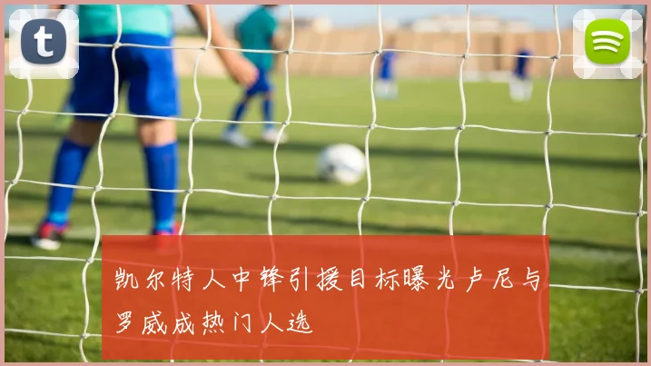 凯尔特人中锋引援目标曝光卢尼与罗威成热门人选